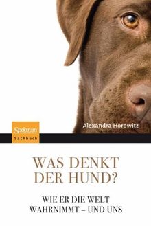 Was denkt der Hund?: Wie er die Welt wahrnimmt - und uns