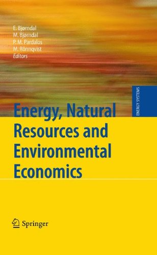 Energy, Natural Resources and Environmental Economics (Energy Systems)
