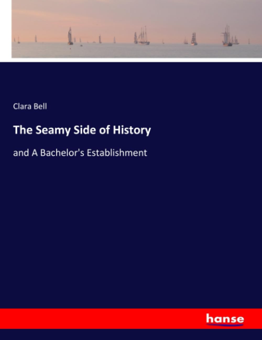 The Seamy Side of History: and A Bachelor's Establishment
