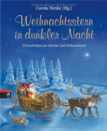 Weihnachtsstern in dunkler Nacht: 24 Geschichten zur Advents- und Weihnachtszeit