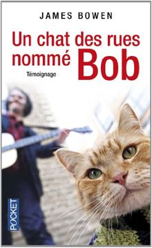 Un chat des rues nommé Bob : témoignage