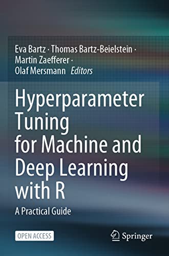 Hyperparameter Tuning for Machine and Deep Learning with R Kartoniert (TB)