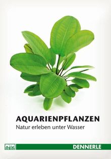 Aquarienpflanzen: Natur erleben unter Wasser