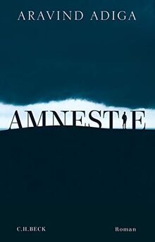 Amnestie: Roman