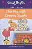 The Pig With Green Spots (Enid Blyton: Star Reads Series 8)