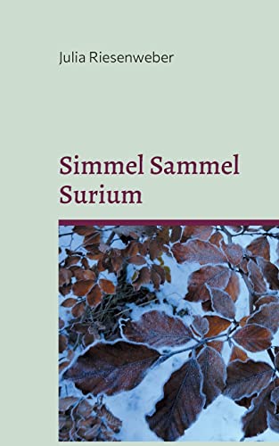 Simmel Sammel Surium: Einfühlsame Kurzgeschichten für kleine und große Leseratten