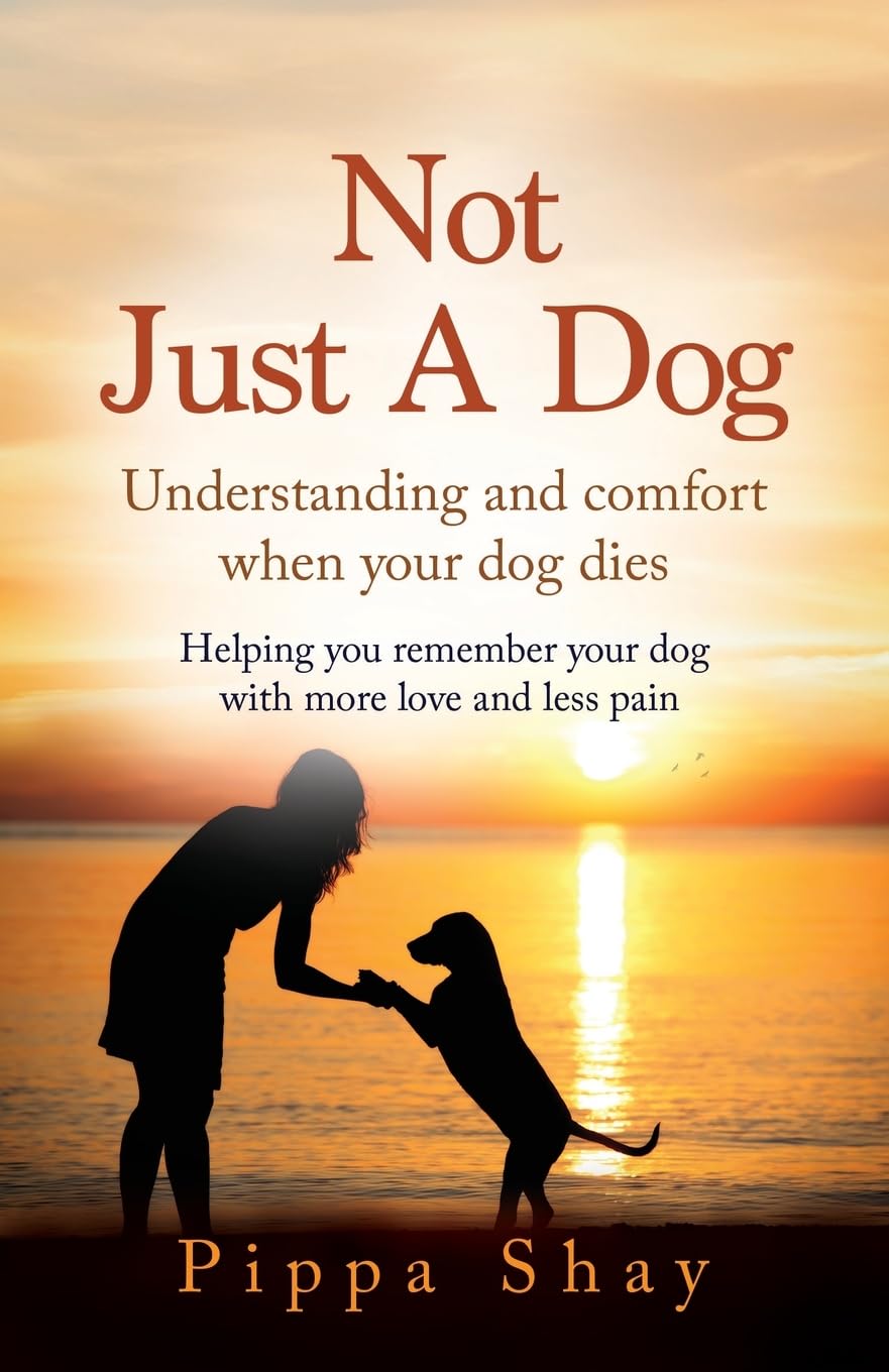 Pippa Shay Not Just A Dog, Understanding And Comfort When Your Dog Dies