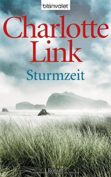 Sturmzeit: Roman von Link, Charlotte | Buch | Zustand gut