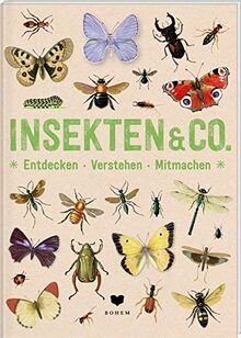 INSEKTEN & Co.: Entdecken - Verstehen - Mitmachen