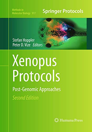 Xenopus Protocols: Post-Genomic Approaches (Methods in Molecular Biology, 917, Band 917)