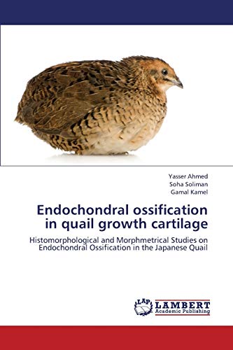 Endochondral ossification in quail growth cartilage: Histomorphological and Morphmetrical Studies on Endochondral Ossification in the Japanese Quail