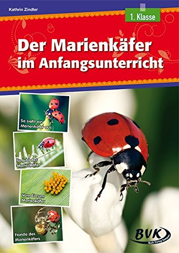 im Anfangsunterricht   Der Marienkäfer im Anfangsunterricht - Kathrin Zindler Geheftet
