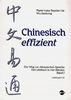 Chinesisch effizient. Der Weg zur chinesischen Sprache. Ein Lehrbuch in vier Bänden. Bd. 1 Lektionen 1-12