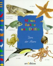 Möwe, Robbe und Delphin. Tiere der Meere. ( Ab 4 J.)