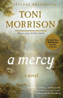 A Mercy (Vintage International)