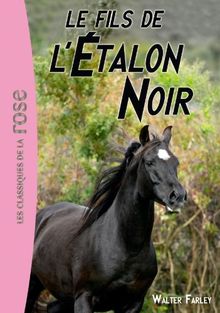 L'étalon noir. Vol. 4. Le fils de l'étalon noir