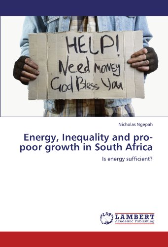 Energy, Inequality and pro-poor growth in South Africa: Is energy sufficient?