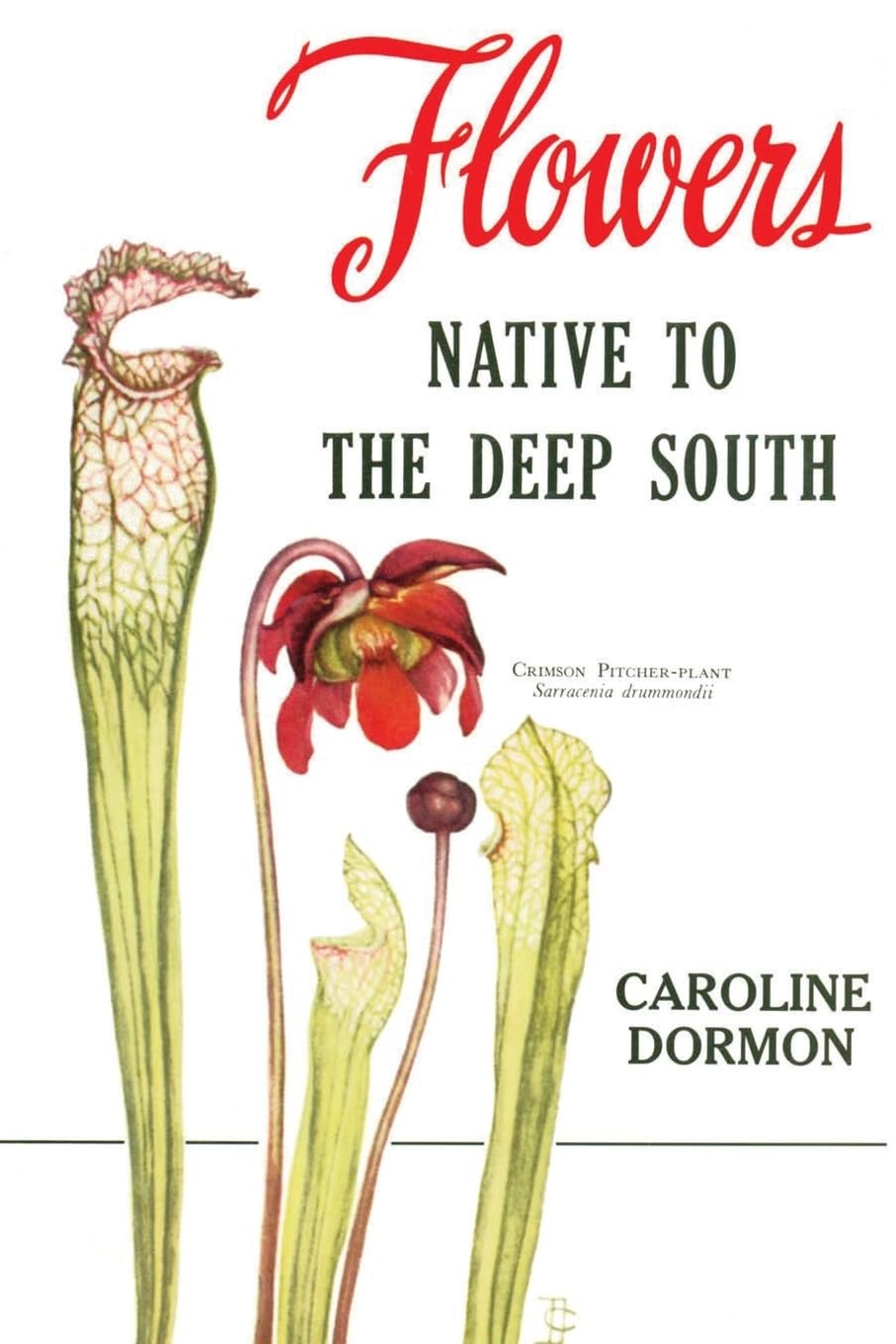 Flowers Native to the Deep South