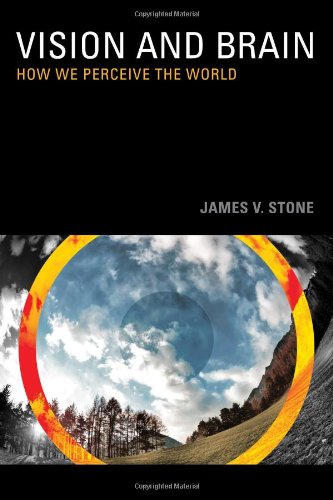Vision: How We Perceive the World
