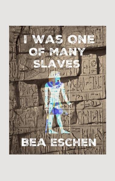 I Was One Of Many Slaves: DE