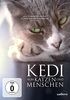Kedi - Von Katzen und Menschen [Special Edition]