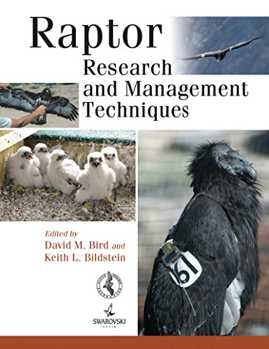 Raptor Research & Management Techniques