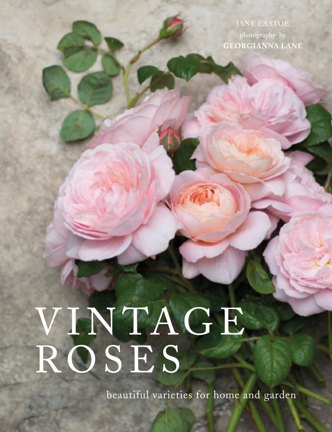 Jane Eastoe Vintage Roses, Beautiful Varieties For Home And Garden
