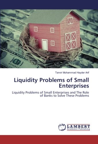 Liquidity Problems of Small Enterprises: Liquidity Problems of Small Enterprises and The Role of Banks to Solve These Problems