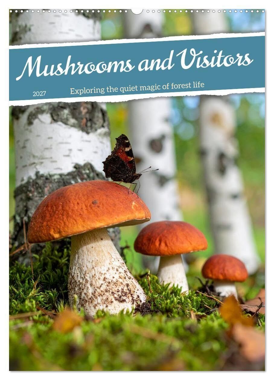 Mushrooms and Visitors (Wall Calendar 2027 DIN A2 portrait), CALVENDO 12 Month Wall Calendar