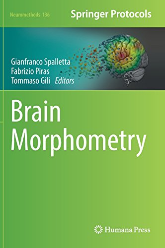 Brain Morphometry (Neuromethods, Band 136)