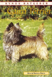 Cairn Terrier