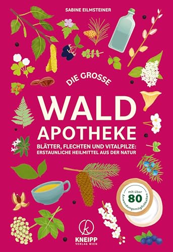 Die große Waldapotheke: Blätter, Flechten und Vitalpilze: Erstaunliche Heilmittel aus der Natur