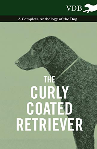 The Curly Coated Retriever - A Complete Anthology of the Dog -: Vintage Dog Books