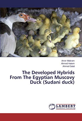 The Developed Hybrids From The Egyptian Muscovy Duck (Sudani duck)