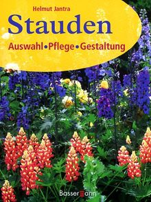 Stauden