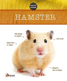 Hamster