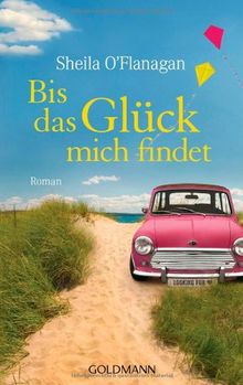 Bis das Glück mich findet: Roman