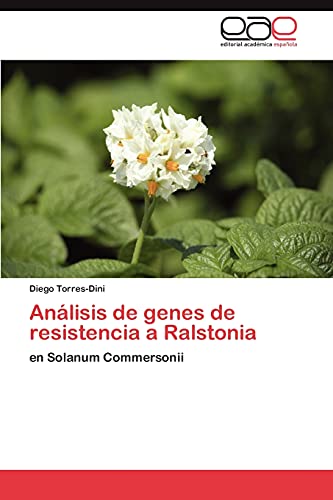Análisis de genes de resistencia a Ralstonia: en Solanum Commersonii
