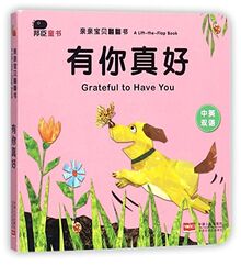 Grateful to Have You (Chinese Edition)