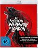 An American Werewolf in London - 2-Blu-ray-Disc-Edition (Woolston Artwork)