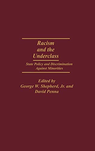 Racism and the Underclass: State Policy and Discrimination Against Minorities (Studies in Human Rights)