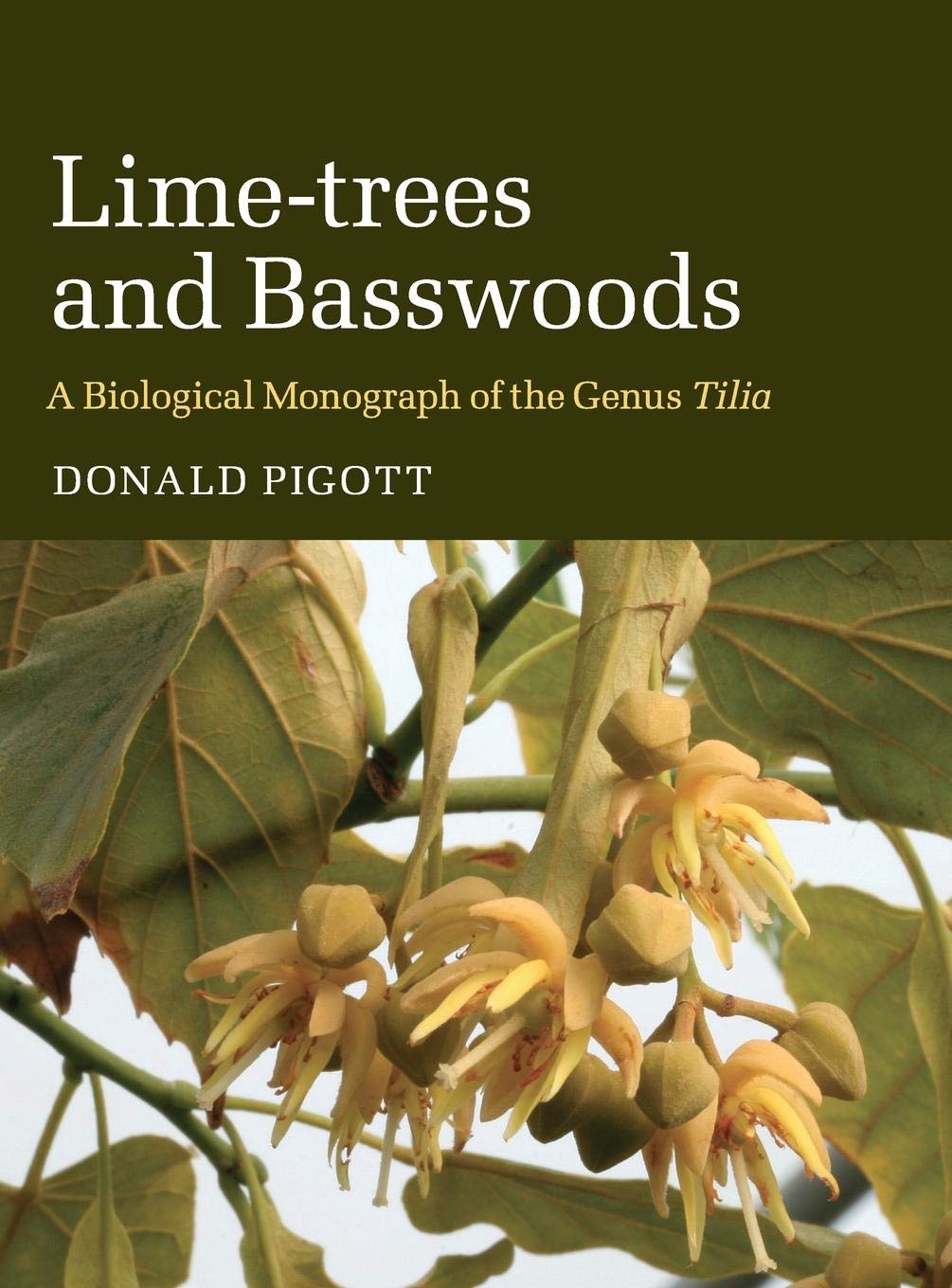 Lime-Trees and Basswoods: A Biological Monograph of the Genus Tilia