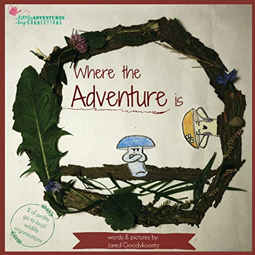 Where the Adventure is (Little Adventures Big Connections, Band 1)