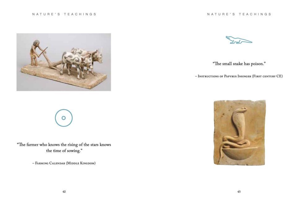 Ancient Egyptian Wisdom - Neuware