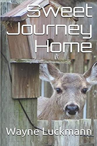 Sweet Journey Home (Rate of Exchange)