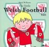 Little Welsh Football Fan, The