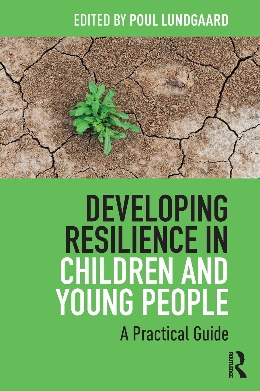 Developing Resilience in Children and Young People: A Practical Guide