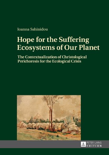 Hope for the Suffering Ecosystems of Our Planet: The Contextualization of Christological Perichoresis for the Ecological Crisis