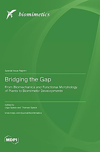 Bridging the Gap: From Biomechanics and Functional Morphology of Plants to Biomimetic Developments
