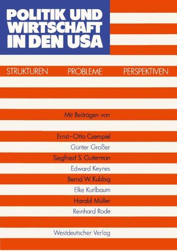 Politik und Wirtschaft in den USA: Strukturen - Probleme - Perspektiven